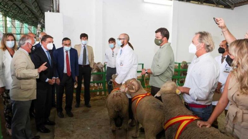 Luis Planas anuncia medidas para afectados por el volcán