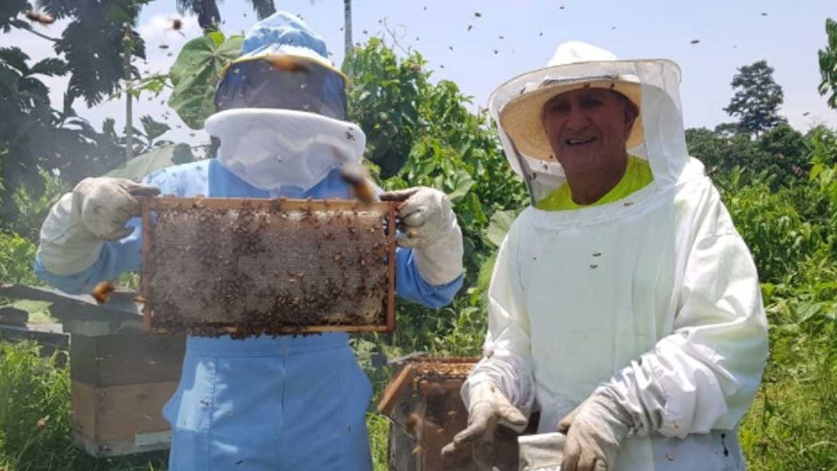 MAG promueve la producción apícola en Napo