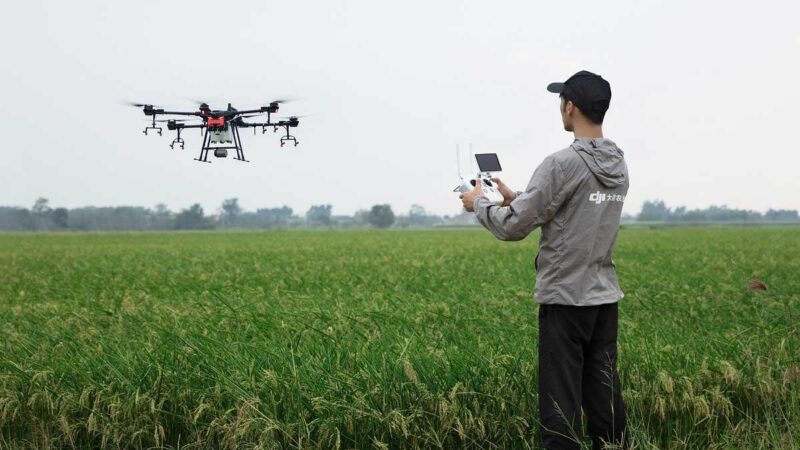 Mapa regula el uso de drones en actividades agrícolas