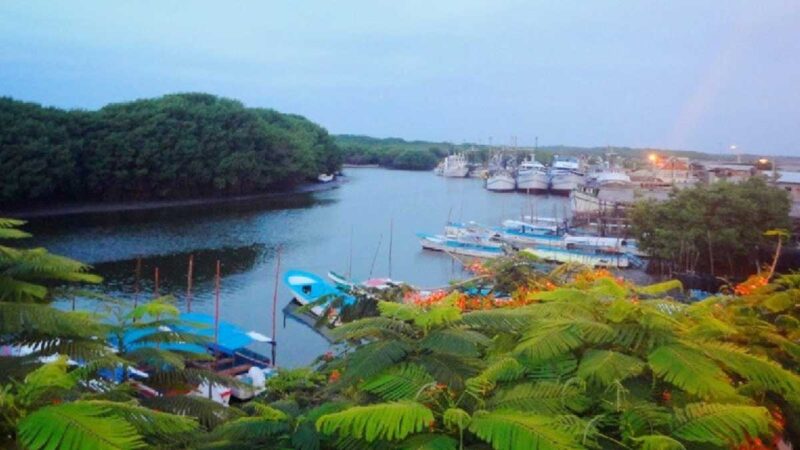 Ministerio analiza ampliar la superficie del Refugio de Vida Silvestre Manglares El Morro