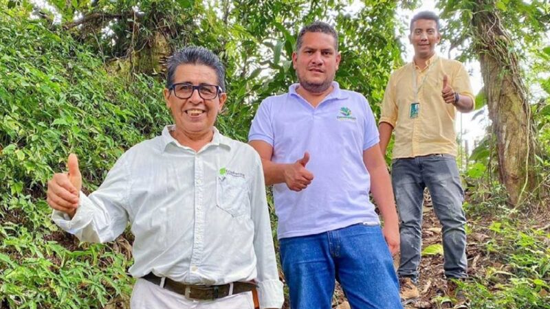 Prefectura fortalece la forestería análoga