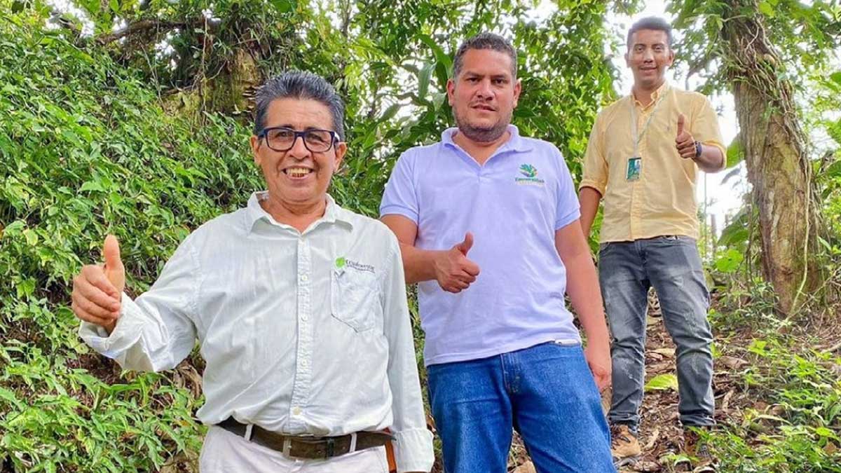 Prefectura fortalece la forestería análoga