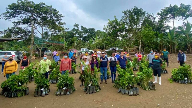 Prefectura realiza proyecto de forestación y restauración