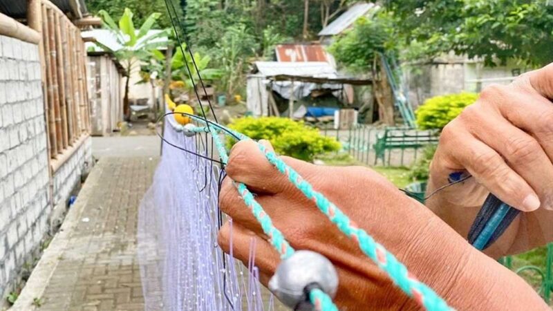 Se dinamiza el sector pesquero artesanal