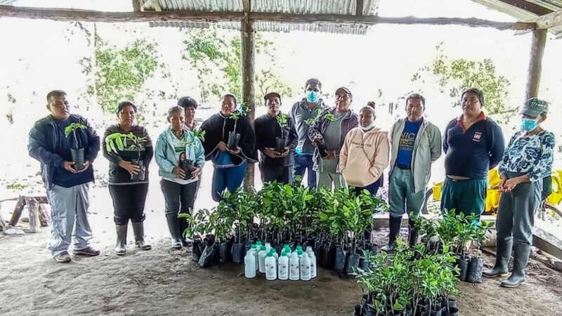 Se entregan cítricos y guanábana en la parroquia Madre Tierra