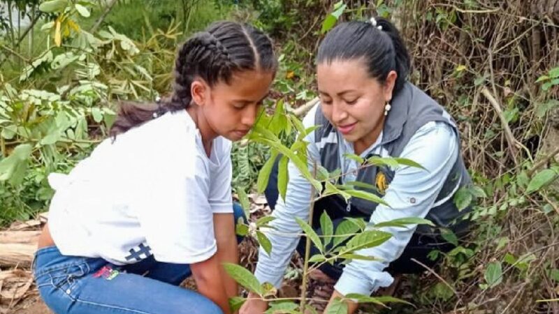 Se reforesta varios lugares de Valencia