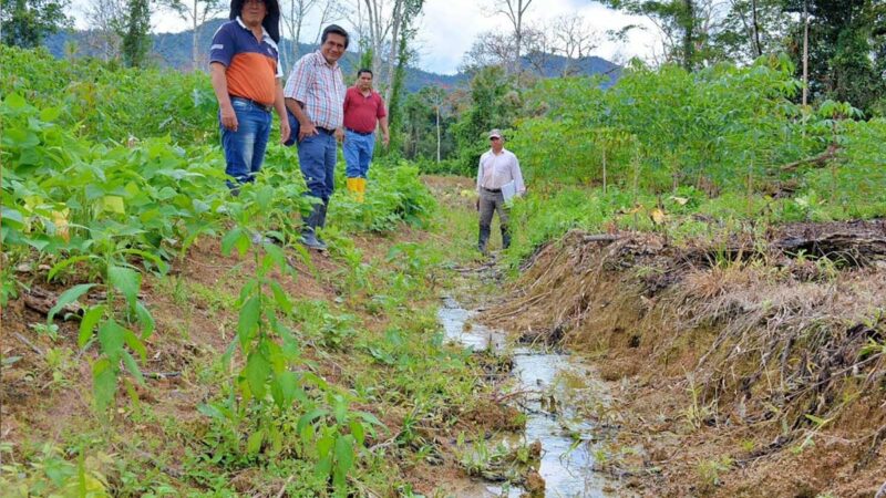 Sistemas de drenaje del Gobierno Provincial benefician a productores de Chicaña Bajo