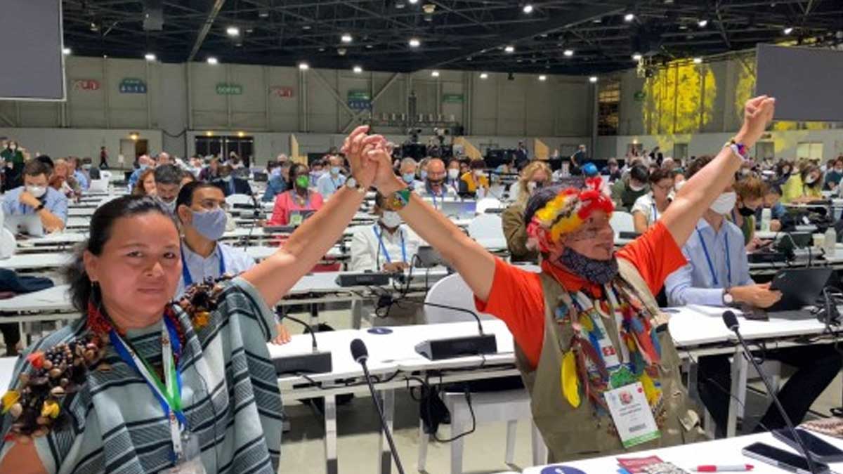 UICN aprueba pedir la protección del 80% de la Amazonía para 2025