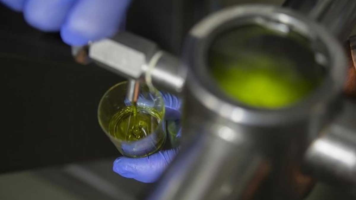 Un nuevo proyecto busca digitalizar el sector agroalimentario hispano-luso