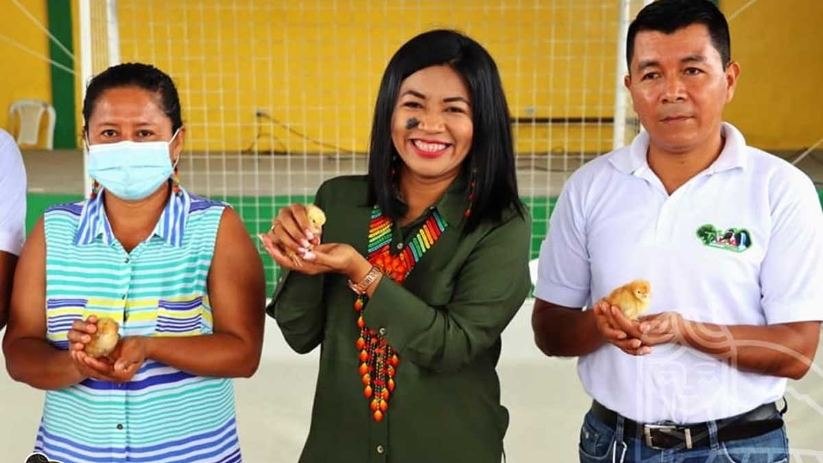 168 familias se benefician con la entrega de kits avícolas en 29 comunidades de la parroquia Talag del cantón Tena