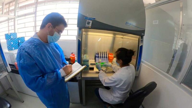 Agrocalidad fortalece la red de laboratorios de diagnóstico de Fusarium raza 4 tropical