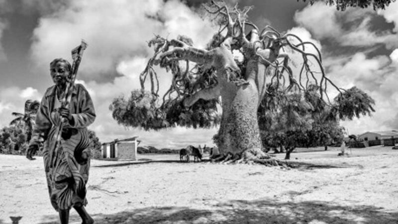 Amnistía Internacional pide acciones urgentes por la dura sequía