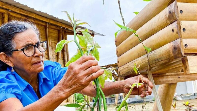 Apoya el trabajo de los emprendedores