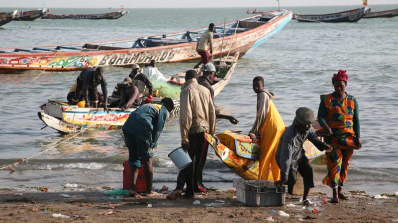 Arrastreros hispano-senegaleses acusados de saquear valiosos camarones liberianos