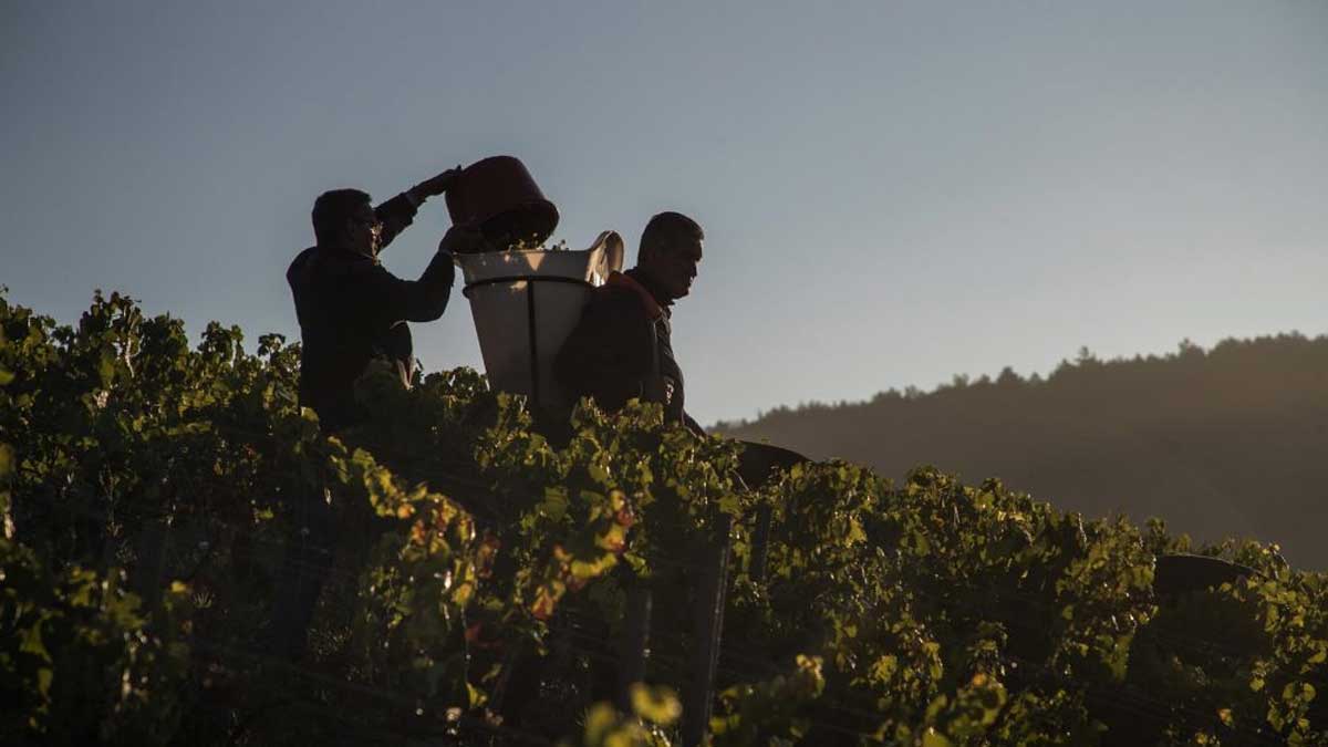 Detenidas 12 personas en Francia y España por trata en el mundo rural