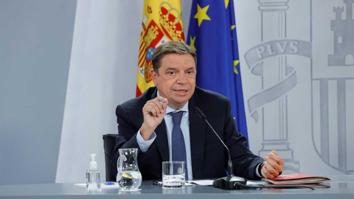 El Gobierno aprueba un proyecto de ley para evitar el desperdicio de alimentos