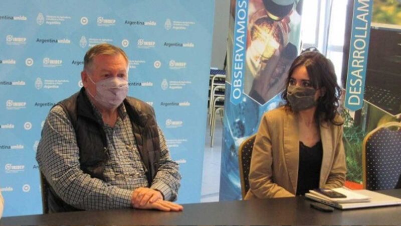 El Ministerio de Agricultura y el de Ambiente coordinan acciones sobre manejo y conservación de Tiburones