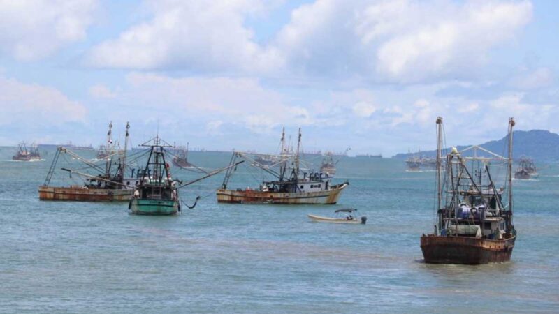 Finaliza segunda veda de camarón, 102 barcos zarpan desde el Puerto de Vacamonte
