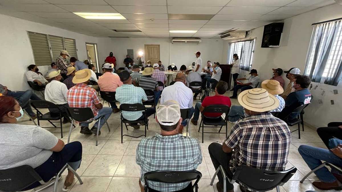 Gobierno Nacional logra acuerdos con productores de maíz de Azuero