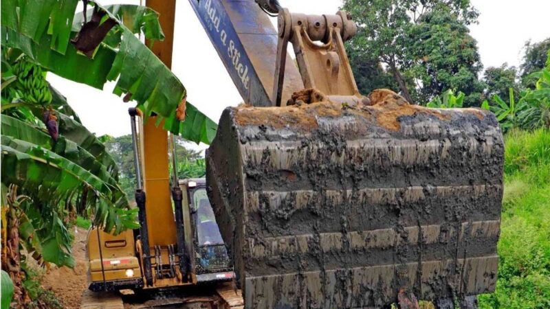 Guayas renace más productiva con el fluir de sus canales de riego