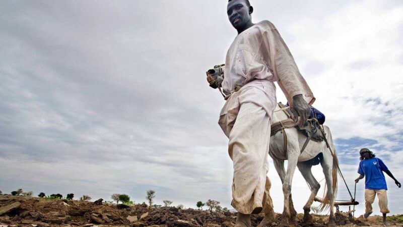 Los suelos salinos se convierten en un nuevo peligro para la alimentación