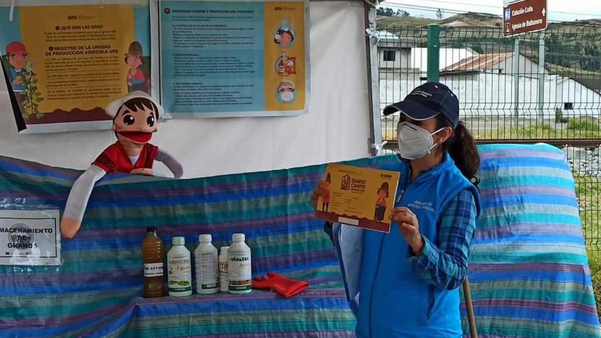 MAG, implementa Parcelas demostrativas con BPA en Colta, para reducir la desnutrición infantil