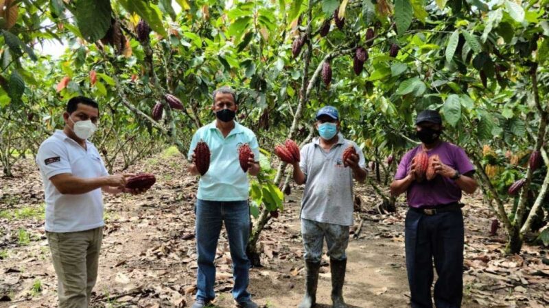 Nestlé ratifica su compromiso con la agricultura ecuatoriana a través de técnicas de innovación y sostenibilidad