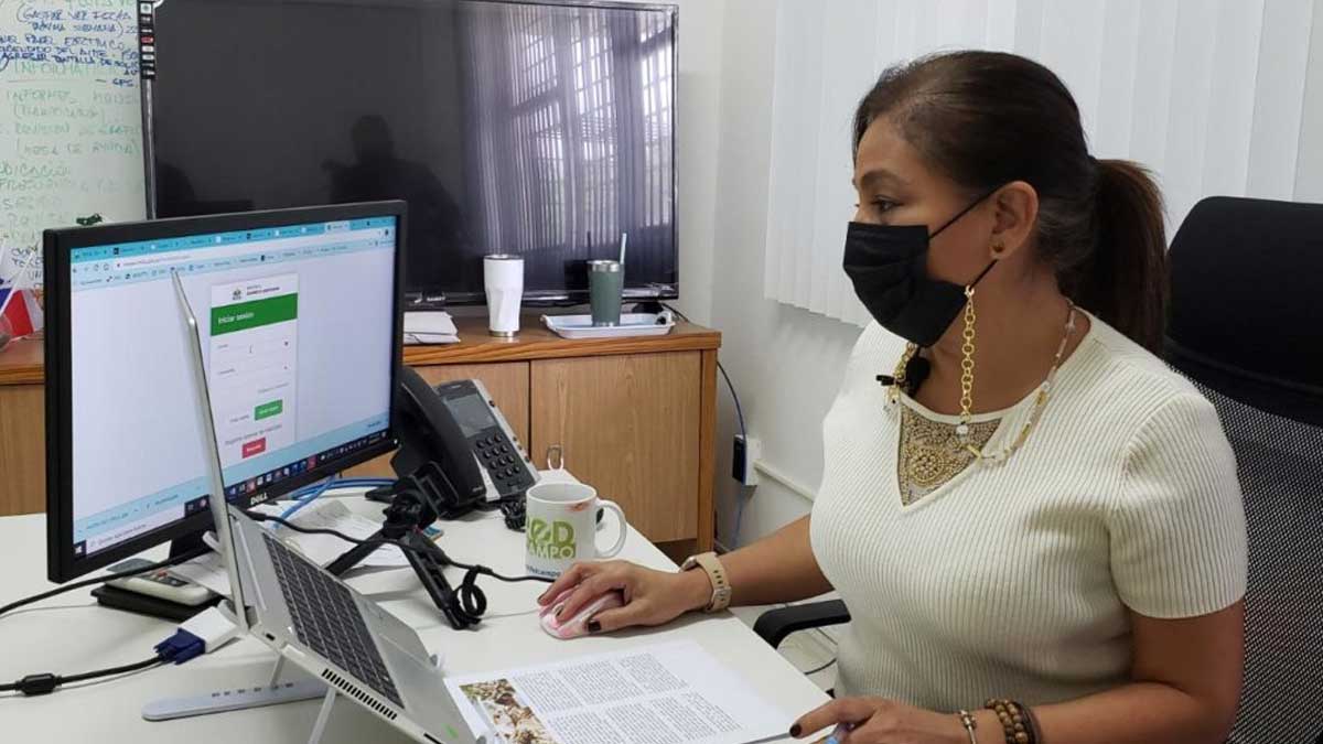 SITERPA- PORTCEL, una nueva herramienta tecnológica al servicio del agro