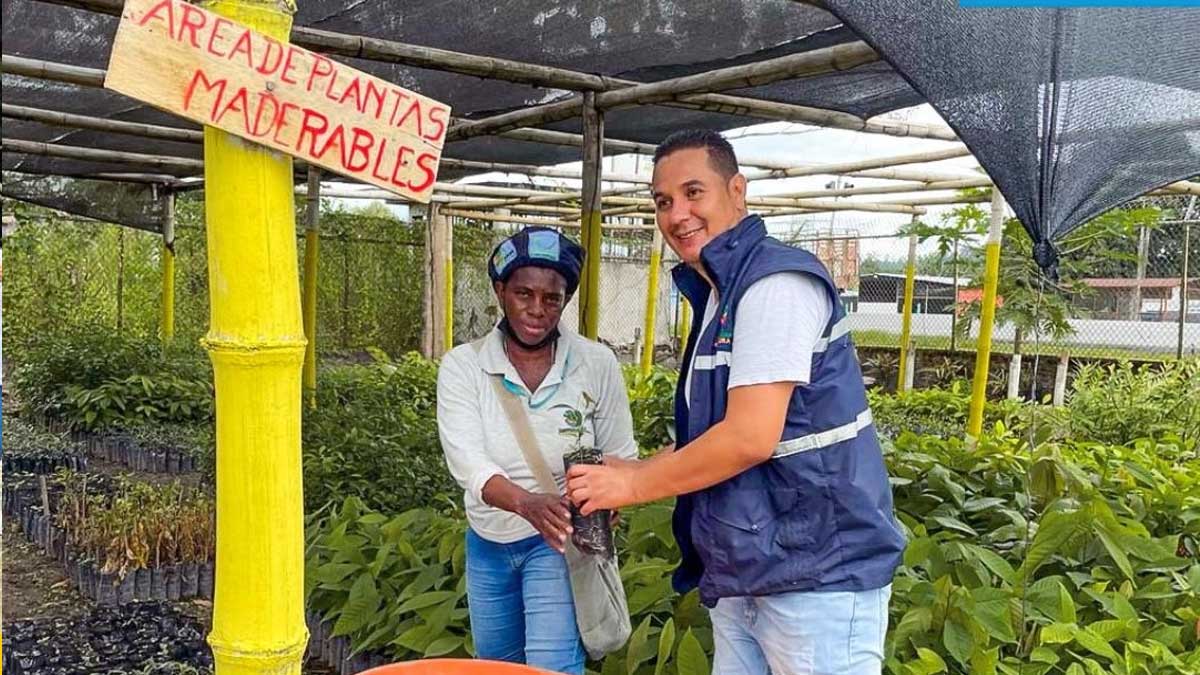 Se pone en marcha proyecto de reforestación