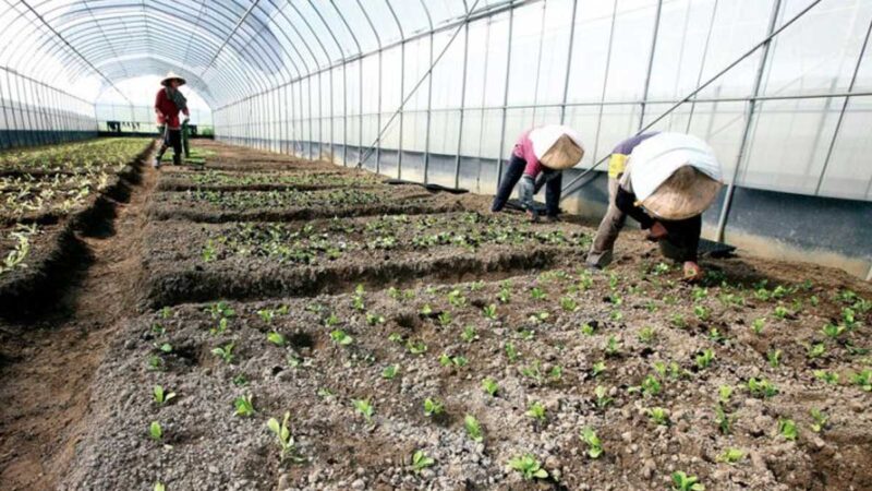 Presidenta Tsai promete intensificar la colaboración mundial para crear un sector agrícola sostenible y resiliente