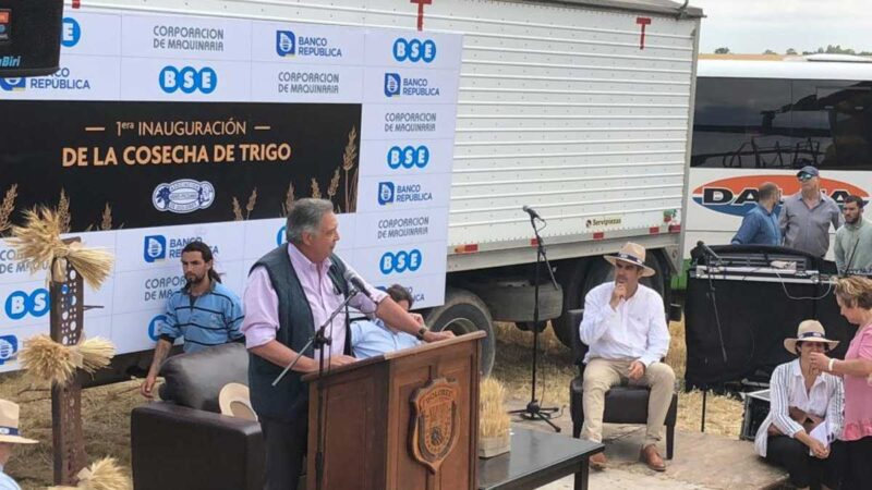 Autoridades nacionales acompañaron inauguración de cosecha del trigo