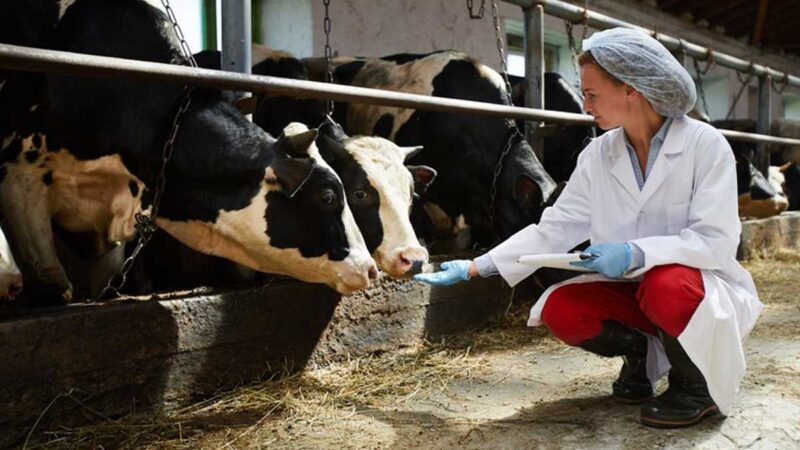 Campaña mundial alerta al cuidado en el uso de antimicrobianos