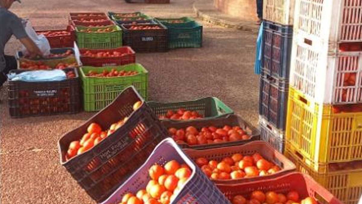 Diversificación y comercialización de la producción en las fincas es prioridad del MAG