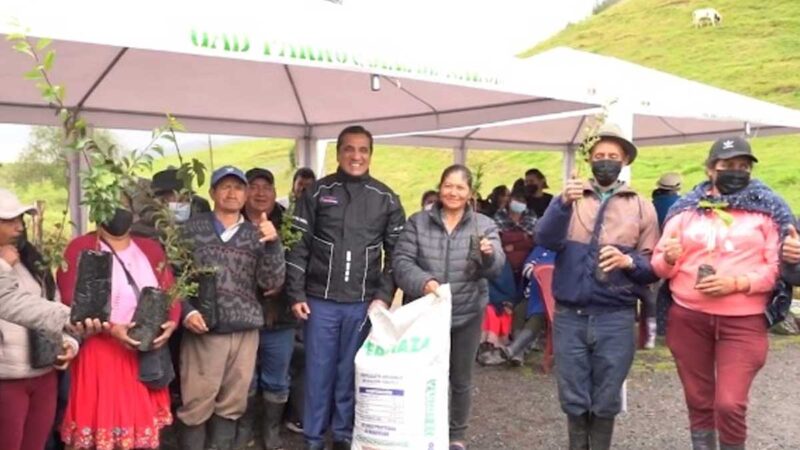 Entregan plantas frutales y forestales en comunidades de la parroquia Nazón
