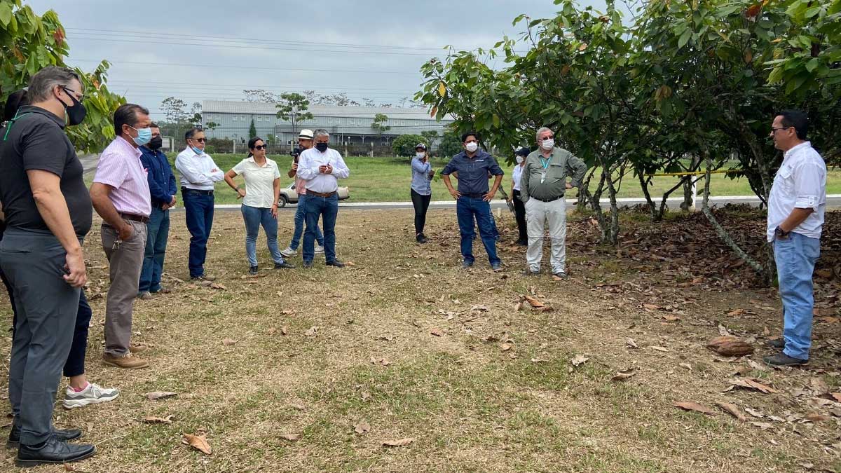 INIAP trabaja en el fortalecimiento del sector cacaotero del país