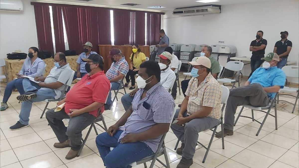 Instalan mesa de trabajo en Chiriquí para tratar temas del sector arrocero