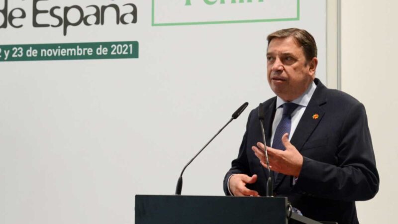 Luis Planas destaca el dinamismo y la capacidad de transformación del sector vitivinícola español