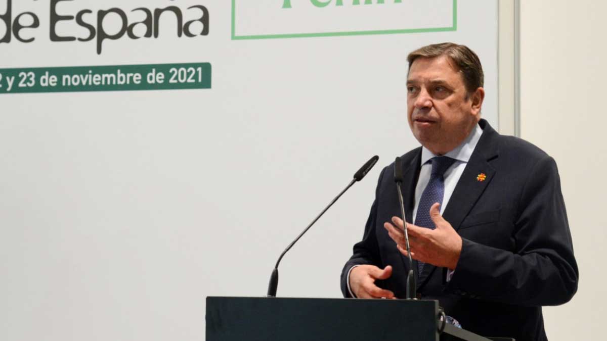 Luis Planas destaca el dinamismo y la capacidad de transformación del sector vitivinícola español