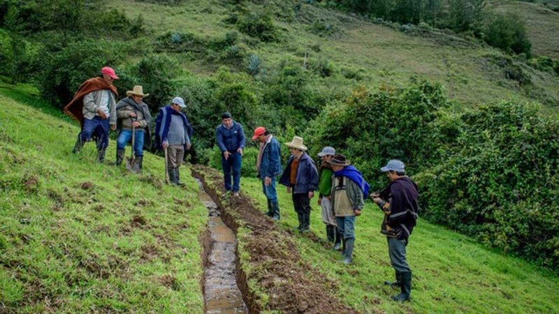 Minam impulsa conservación de 17,000 hectáreas de ecosistemas altoandinos