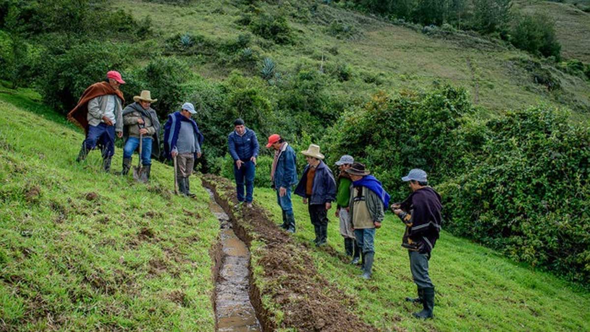 Minam impulsa conservación de 17,000 hectáreas de ecosistemas altoandinos