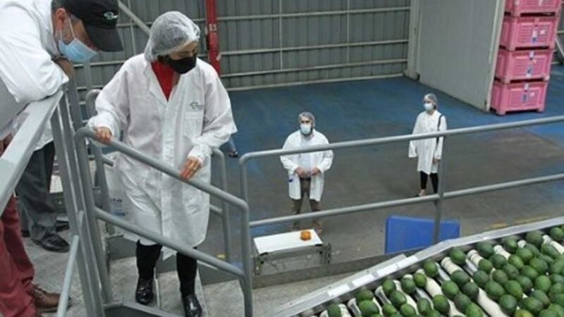 Ministra Undurraga da el inicio a la Temporada de Exportaciones Agrícolas 2021–2022 