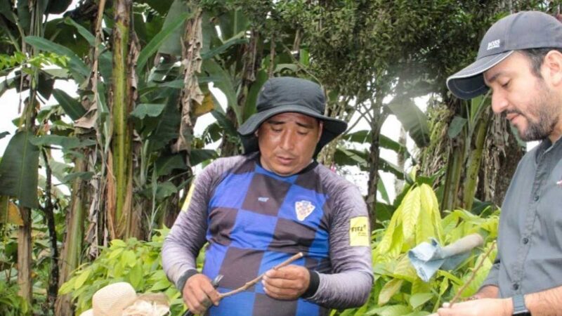 Prefectura brinda apoyo a pequeños productores cacaoteros