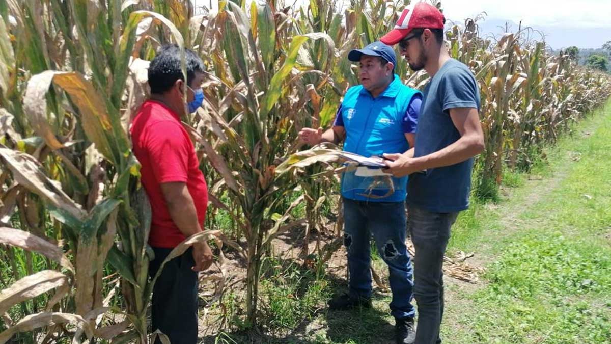 Presentan el Sistema de Monitoreo de Sequía Agrícola en Ecuador