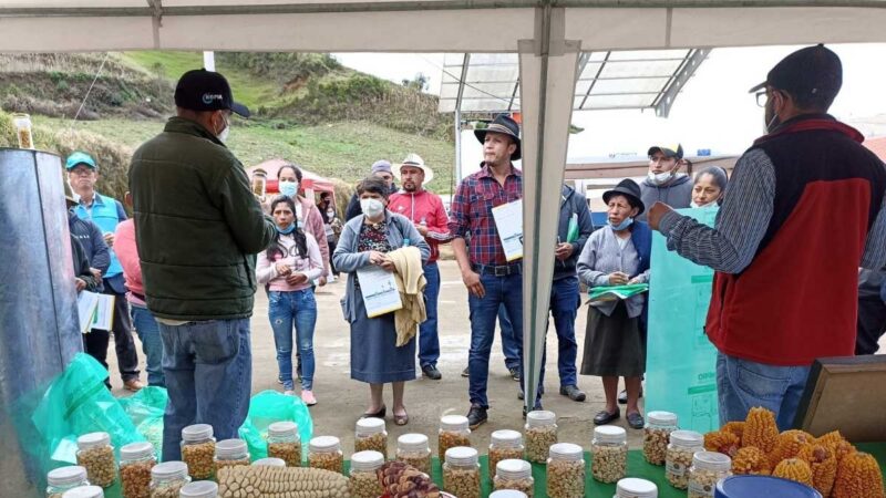 Productores de maíz conocen tecnologías de producción sostenible