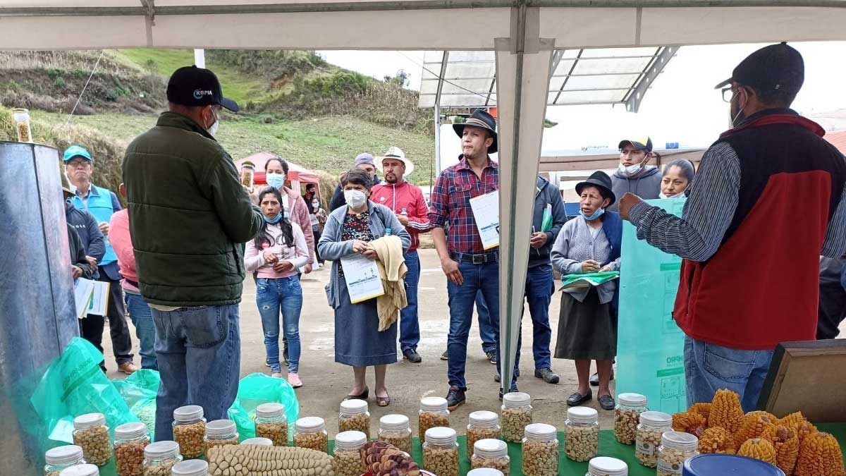 Productores de maíz conocen tecnologías de producción sostenible