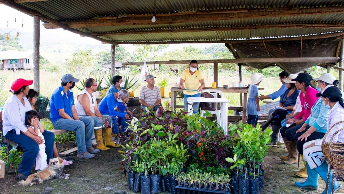 Potenciamos la siembra orgánica en Nuevo Mera.