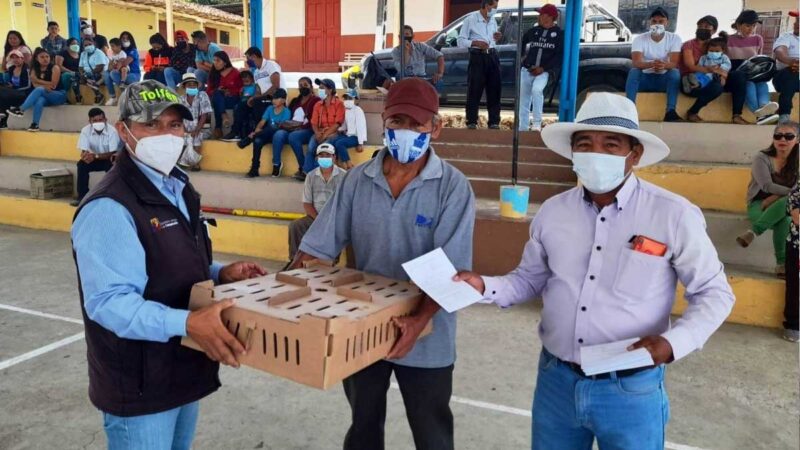 Celica: instituciones trabajan en el fomento y apoyo a la producción avícola de la parroquia Cruzpamba