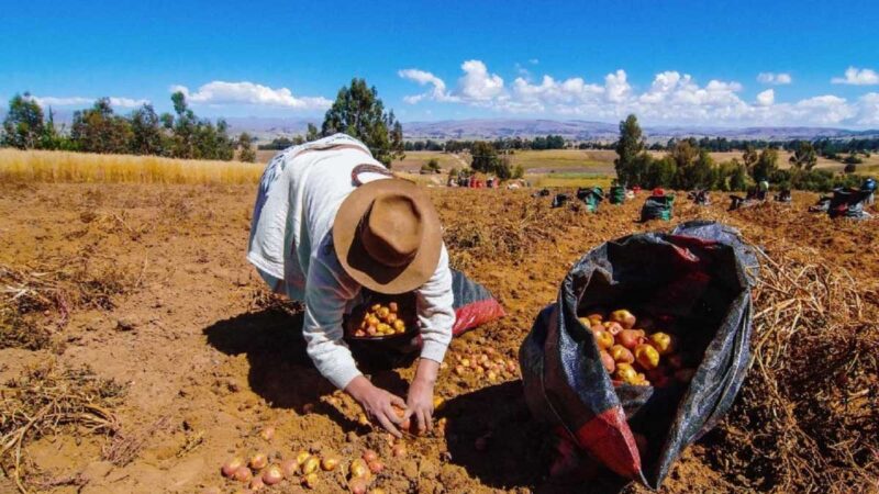 100,000 empleos en riesgo en el sector agropecuario por norma sobre vacunación