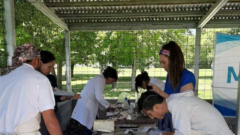 Comenzaron las actividades de pesca experimental del Proyecto EBIPES en el Río de la Plata