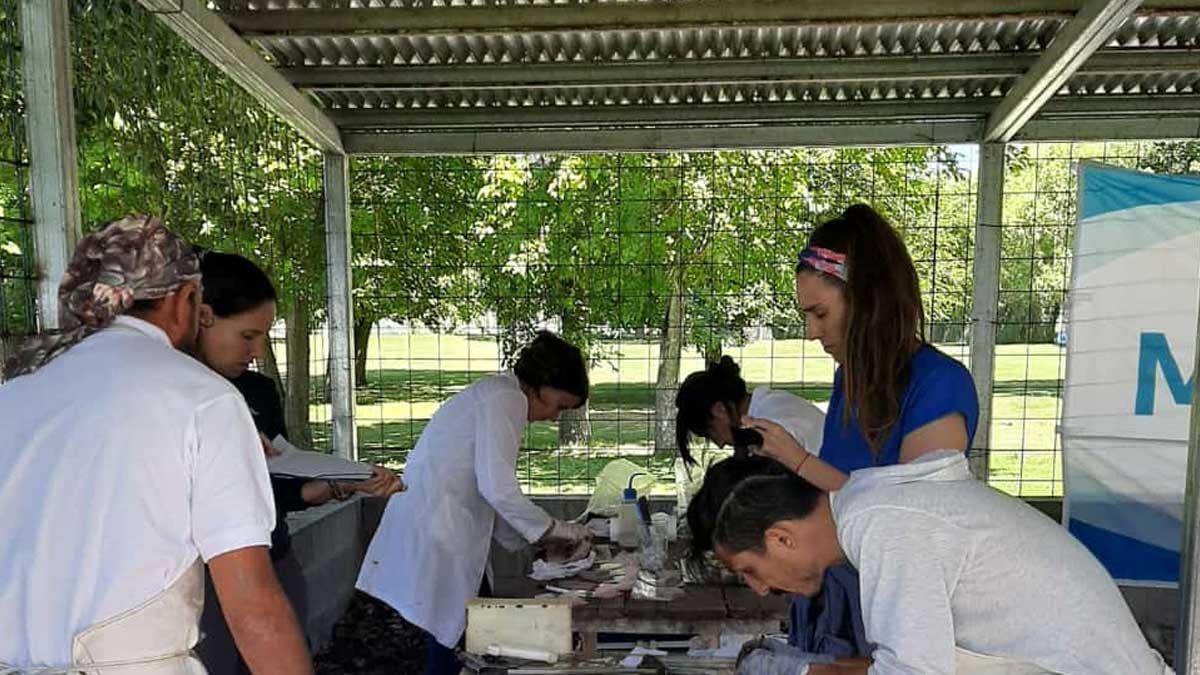 Comenzaron las actividades de pesca experimental del Proyecto EBIPES en el Río de la Plata